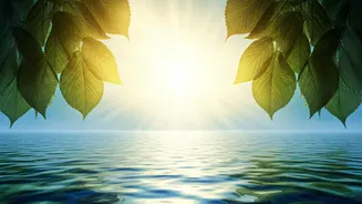 Discover Your True Self: Unveiling Rupert Spira's Profound Insight on Inner Awareness