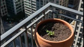 Balcony Gardens Need a Load Check Before the First Heavy Planter