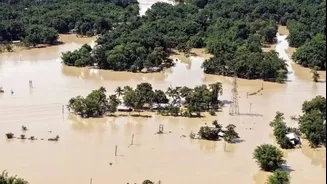 Assam Flood Death Toll Rises To 101, Over 1.26 Lakh People Affected Across 10 Districts