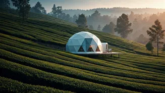 Munnar Misty Tea Estate Glamping Domes Top Couple Wishlists Now