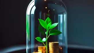 Starting Your Wealth Journey: Should Young Investors Choose Index Or Multi-Cap Funds