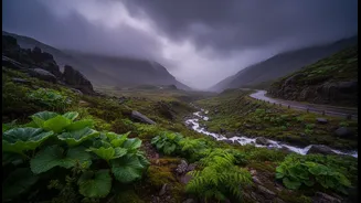 Smart Travellers Should Check IMD Warnings Before Chasing Rainy Views