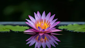 Healing & Loving Yourself: Navigating Life After a Breakup