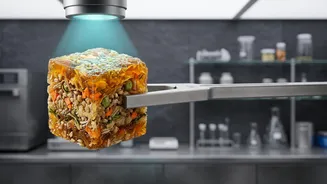 Astronaut Meals For Gaganyaan: What Makes Space Food Different From Earth Food