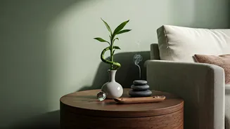 Unlock Serenity: Transform Your Home with Feng Shui for Inner Peace