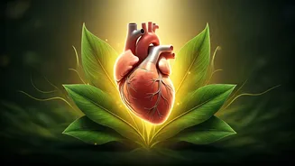5 Japanese Secrets for a Healthier Heart: From Mindful Eating to Purposeful Living