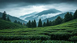 Refresh Yourself With These Nearby Rainy Retreats