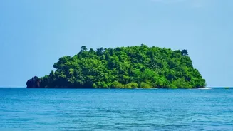 Autumn beach getaways in Andaman: Scuba diving, clear waters, and island hopping on Havelock and Neil Islands