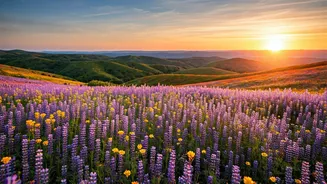 Flower Trips Are Beating Heatstroke Tourism This Season