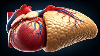 Ghee & Oil: The Body's Transformation