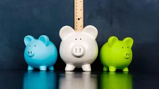 Calculating Your Emergency Reserve: Why Flexi-FD Beats Standard Savings Accounts Hands Down
