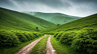 July Travel Plans? Consider These Hill Spots
