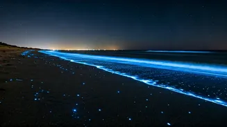 This Karnataka Coastal Stretch Features Magical Bioluminescent Night Beaches