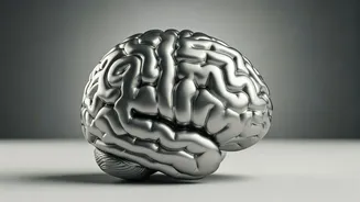 Boost Focus & Memory: Harvard's Top 6 Tips