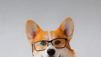 Cross-Cultural Evidence Helps Test Whether Canine Abilities Are Truly General