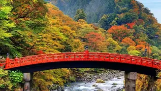 Top 5 scenic spots for autumn travel