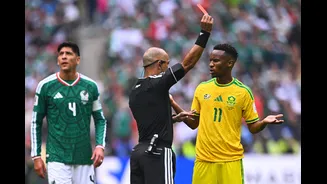 Grupo de integridade identifica possível manipulação em jogos da Copa