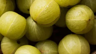 Amla Adds Vitamin C to the Eight-Food Monsoon Nutrition List