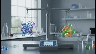 How the plant-based protein digestibility scale exposes gaps in standard macro tracking methods