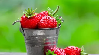 Five-Layer Towers Change How Some Indian Farmers Grow Strawberries