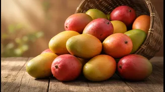 Mango Festivals: a clearer explainer on food biodiversity, farmer livelihoods and regional travel