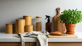 Sustainable Routines Gain Momentum