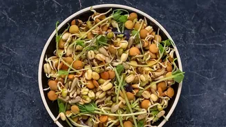 Plant Protein Synergy Hacks: Combine Pulses And Grains For Fitness Results