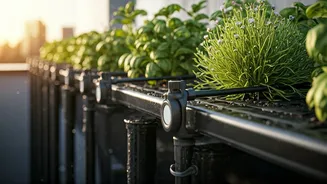 How Urban Families Automate Drip Irrigation Across Complex Rooftop Systems
