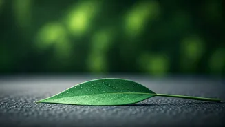 Karan Wahi's Vegetarian Shift: A Surprising Solution for Stubborn Skin Allergies