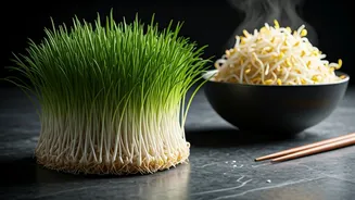 Monsoon Diet? Cook Your Sprouts Before Eating