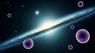 February 2026 Health Insights: Align Your Stars for Peak Well-being