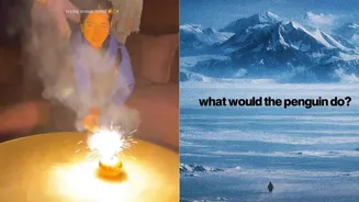 'Lonely Penguin, 2026 Is The New 2016, Glowing Oranges, AI Boyfriends'; January 2026’s Internet Craze Explained