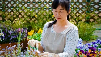 How Affordable IoT Soil Sensors Stop Plant Parents From Overwatering Balcony Gardens