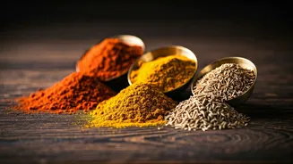 7 Flavorful Indian Food Combos to Try Now!