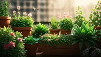 Tiny Terraces Are Making A Big Impact On Nature