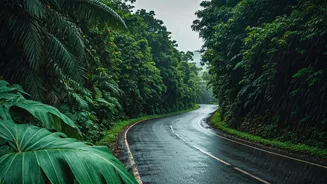Monsoon Deepens, Maharashtra Getaways Need Patience