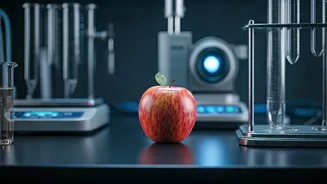 Uttarakhand Food Safety: Nearly 11% of Samples Fail Tests Over Three Years, Govt Reveals