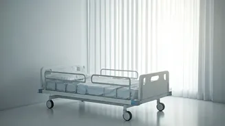 Mental Wellness: Navigating Pressure & Seeking Support