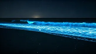 Bioluminescent Night Beaches in Karnataka Create Massive Buzz Online