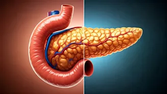 5 Habits Harming Your Pancreas: Watch Out!
