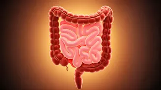 The Gut Glow Up Movement Transforming Modern Indian Wellness