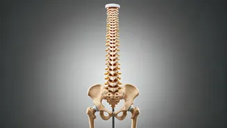 Posture Perfection: Fixing Rounded Shoulders and Tech Neck