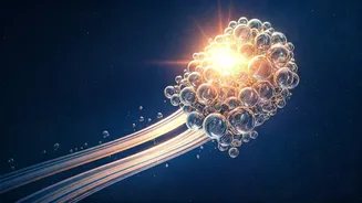 Related Stories banner