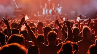 How Live Shows Are Changing The Way Fans Connect With Artists