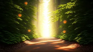 The Daily Walk Gets A Glow-Up