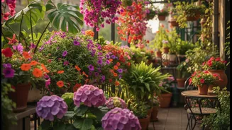 A Flowering Balcony Becomes More Valuable When It Avoids Routine Sprays