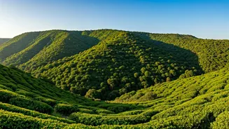 Green Aravalli Hills Make Mount Abu Shine