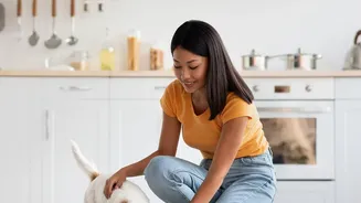 Humidity-Proof Pet Care Routine For Busy Urban Pet Owners