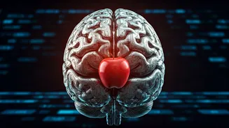 Unlocking Better Choices: 5 Brain Quirks That Sabotage Decisions & How to Override Them