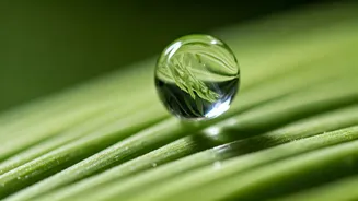 Water Waste Is Entering Beauty Conversations Again